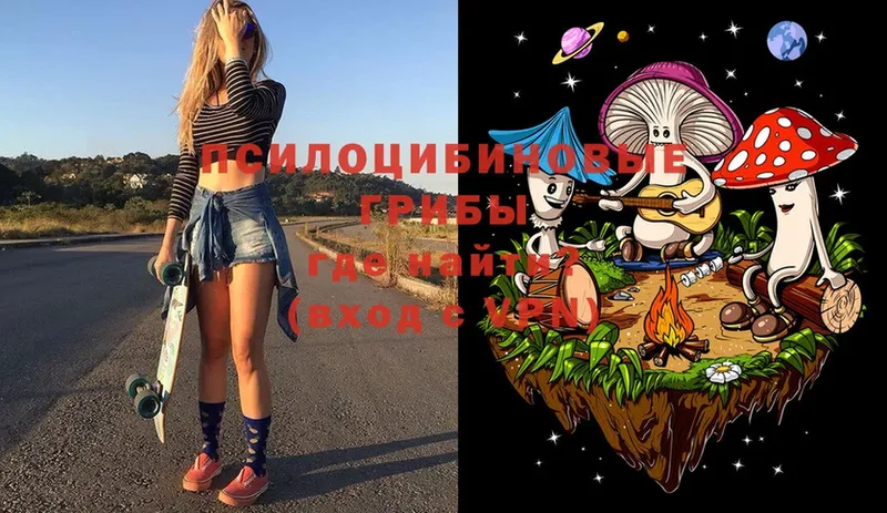 Галлюциногенные грибы MAGIC MUSHROOMS  Любань 