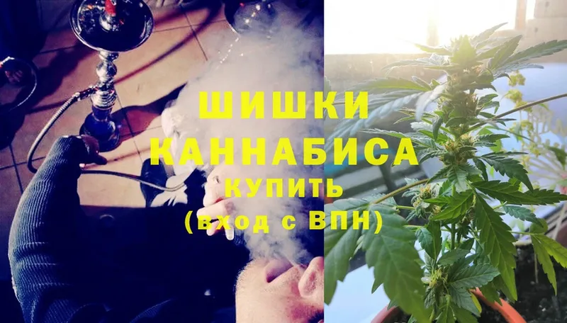 Бошки Шишки SATIVA & INDICA  где купить наркоту  omg как войти  Любань 